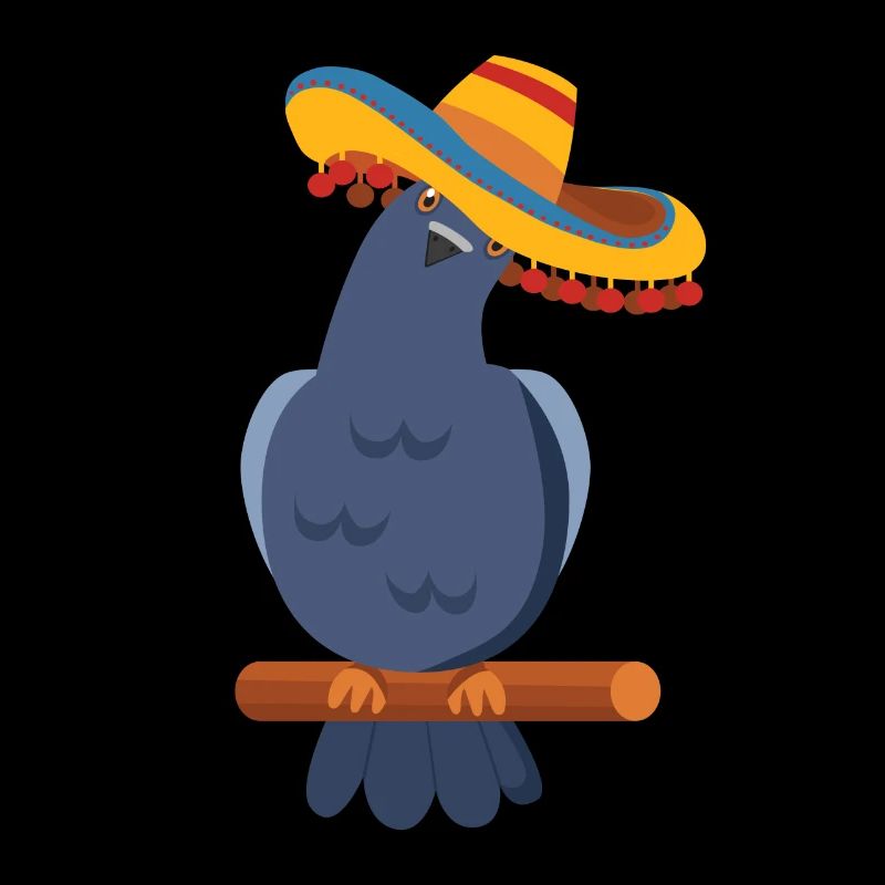 Mexico Hat Pigeon Pigeons Funny