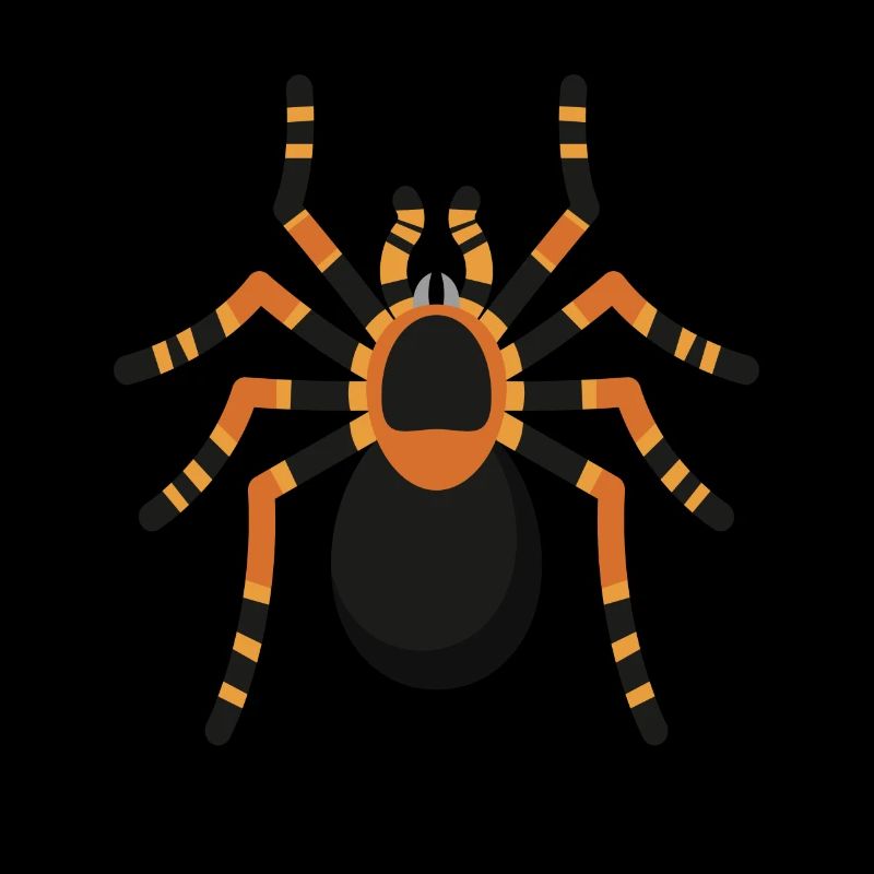 Araignée Araignée Tarentule