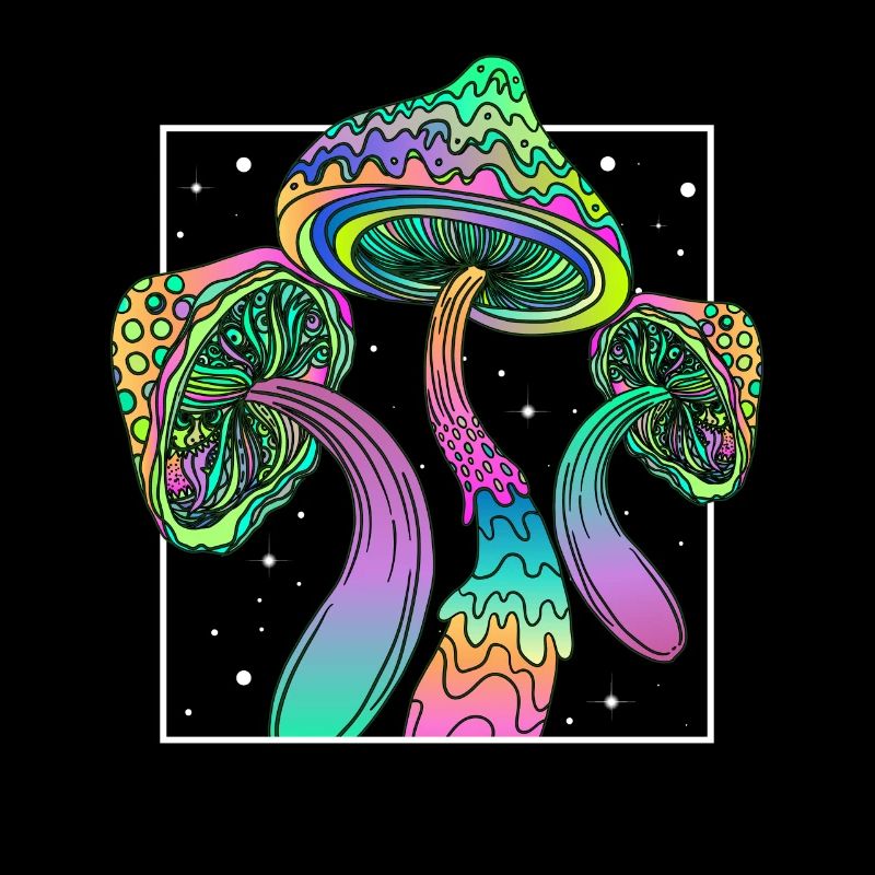 Festival des champignons psychédéliques EDM Musique