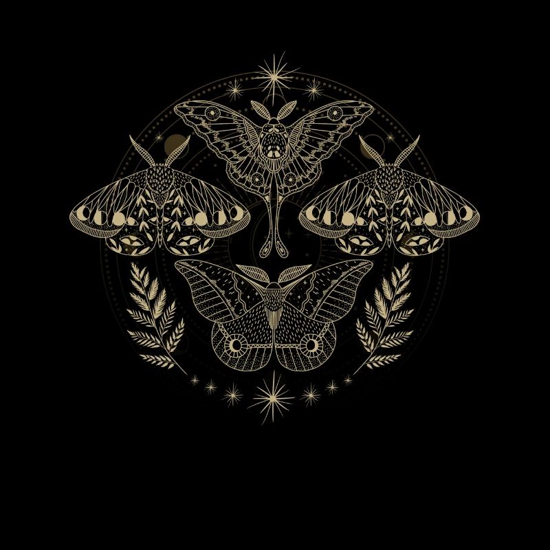 Papillon de nuit Goth Moth mystique