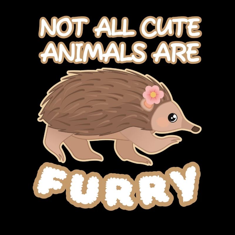 Échidné Animaux Mignons À Fourrure Schnabeligel