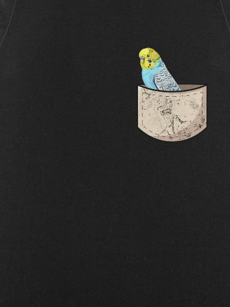 Budgerigar