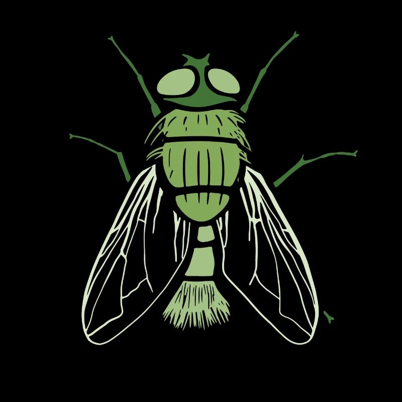 Mouche Insectes Mouche Entomologiste