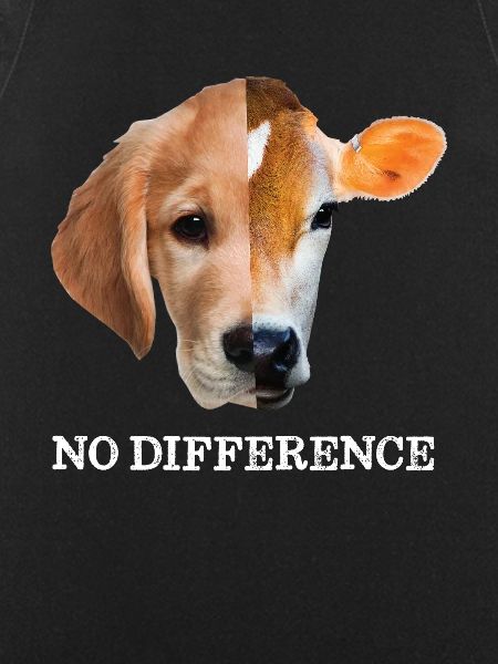 No difference Vegan