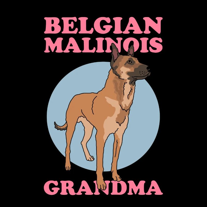 Belgian Malinois Grandma Belgian Shepherd