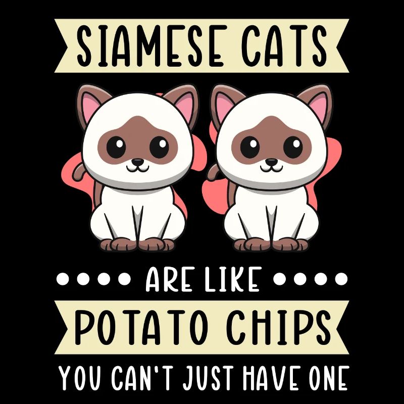 Siamese Cat Cat Owner Cat Lover