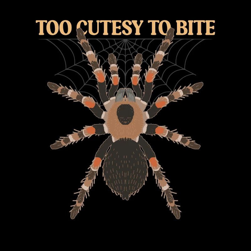 Tarantulas Spiders Tarantula Tarantula Tarantula Gift