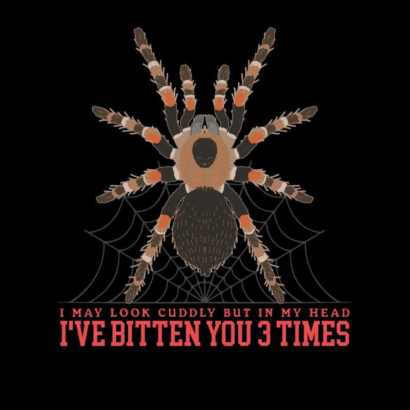 Tarantula Tarantula Tarantula Tarantula Gift