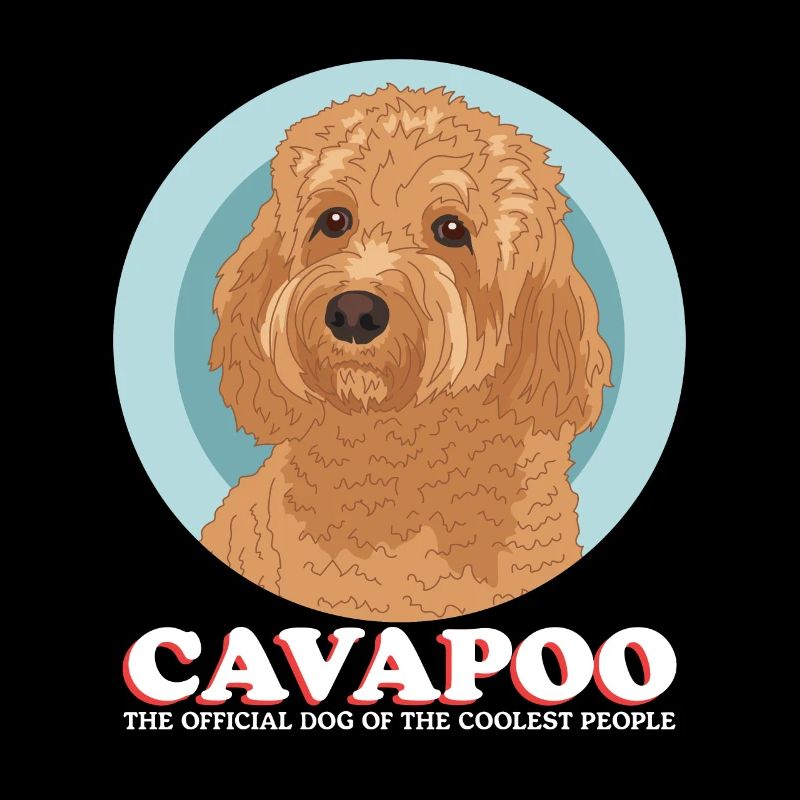 Cavapoo Cavoodle Chien Chien Propriétaire Cadeau