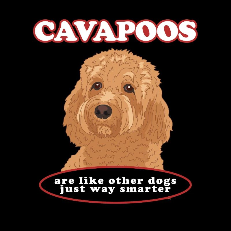 Cavapoo Dog Cavoodle Dog Owner Gift