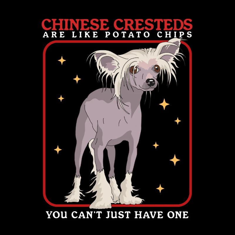 Chinois à crête chinois Chinois à crête cadeau
