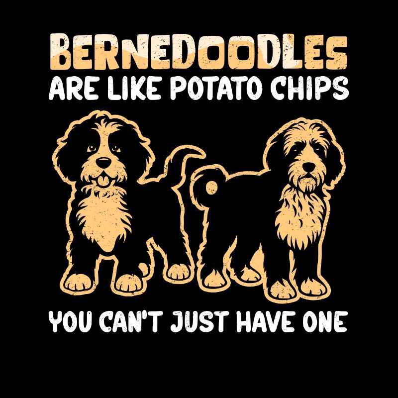 Bernedoodle Hundebesitzer Hundehalter Geschenk