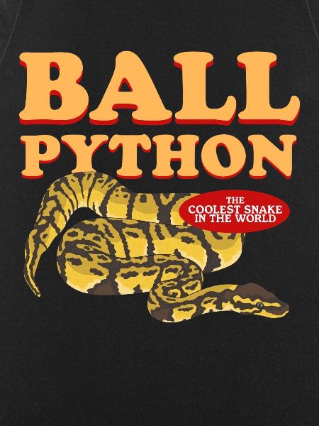 Königspython Python Schlangen Geschenk