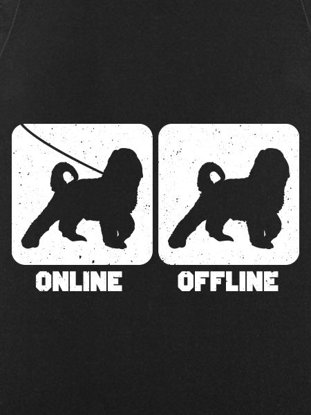 Bernedoodle Chien