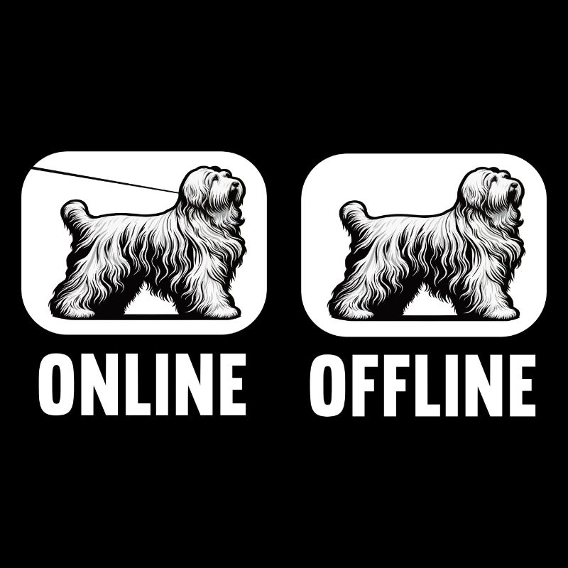 Online Offline Bearded Collie Bearded Collie Dog