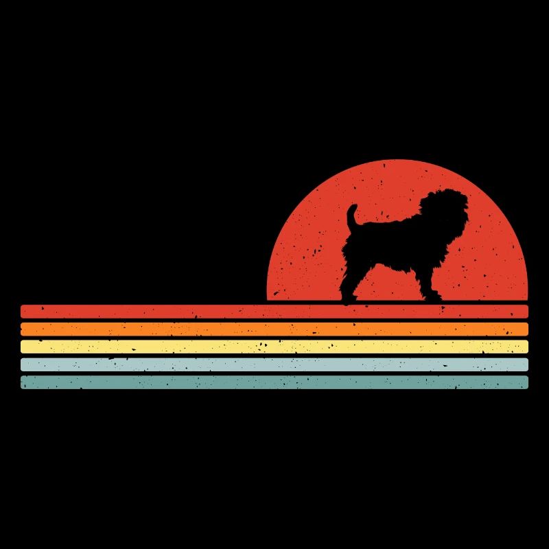 Affenpinscher Rétro