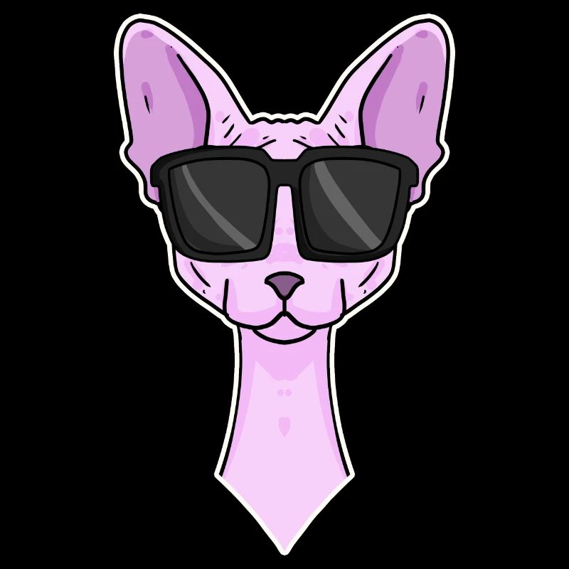 Chat cool avec lunettes de soleil - race de chat Sphynx