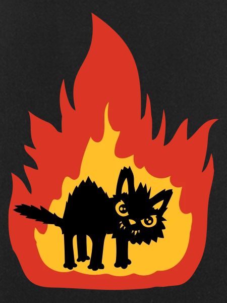 Burning hot cat