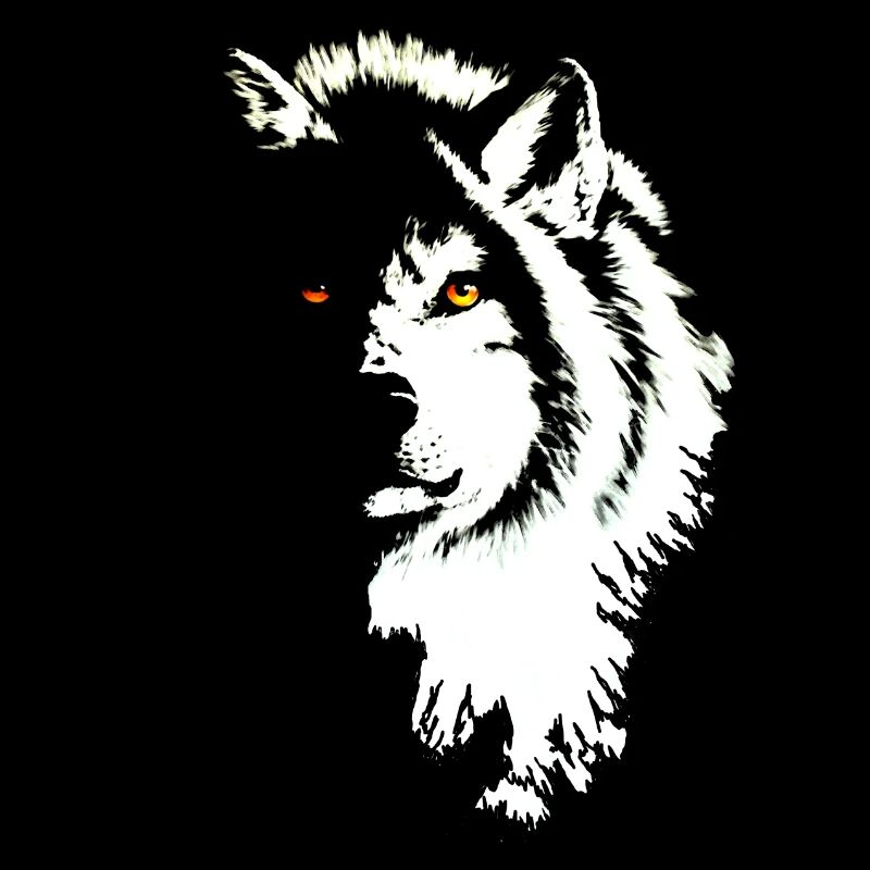 Wolf black & white