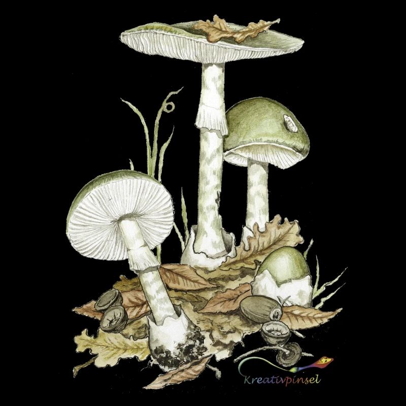 Green death cap mushroom
