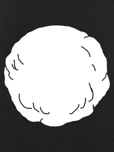 Perfect snowball