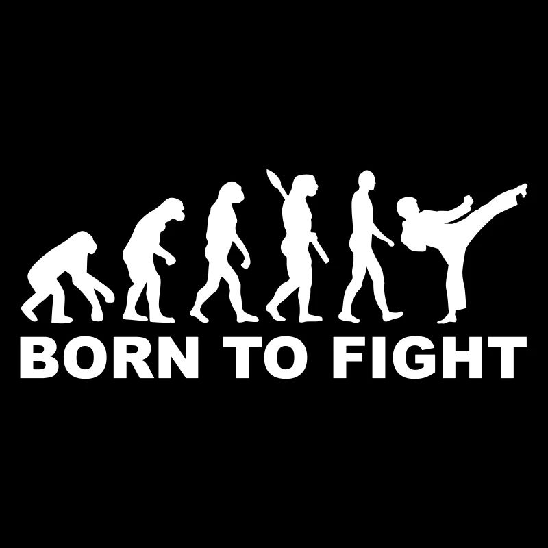 Evolution Karate