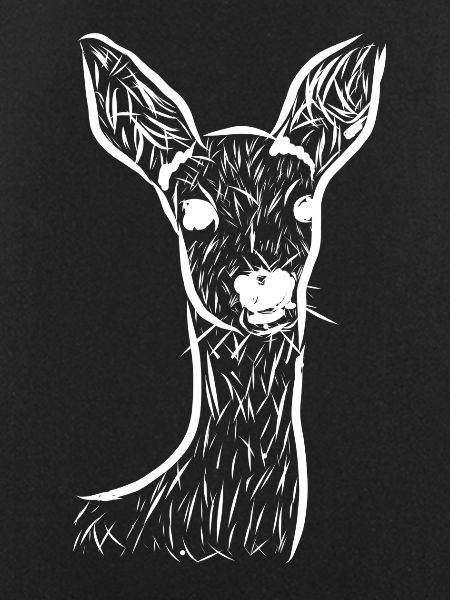 Roe deer