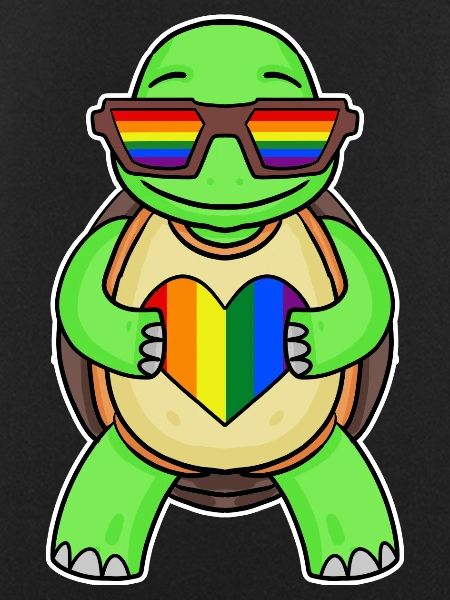 Rainbow Turtle