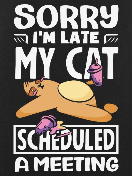 Sorry I'm late.