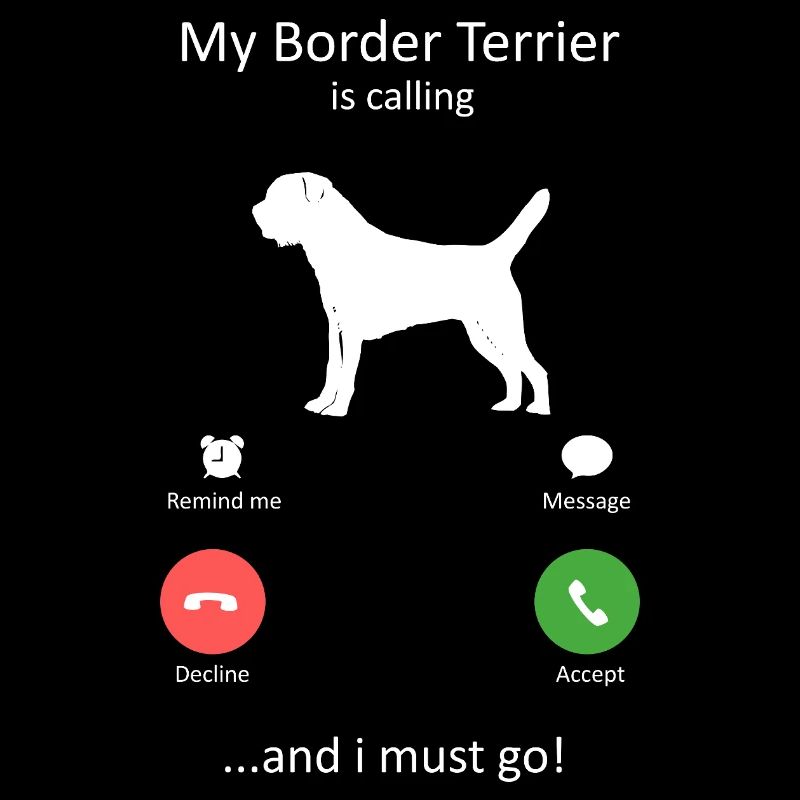 Loyal Border Terrier Dog Breed Is calling
