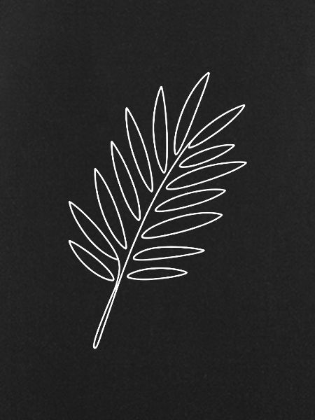 Palm Leaf Line Art Tropical