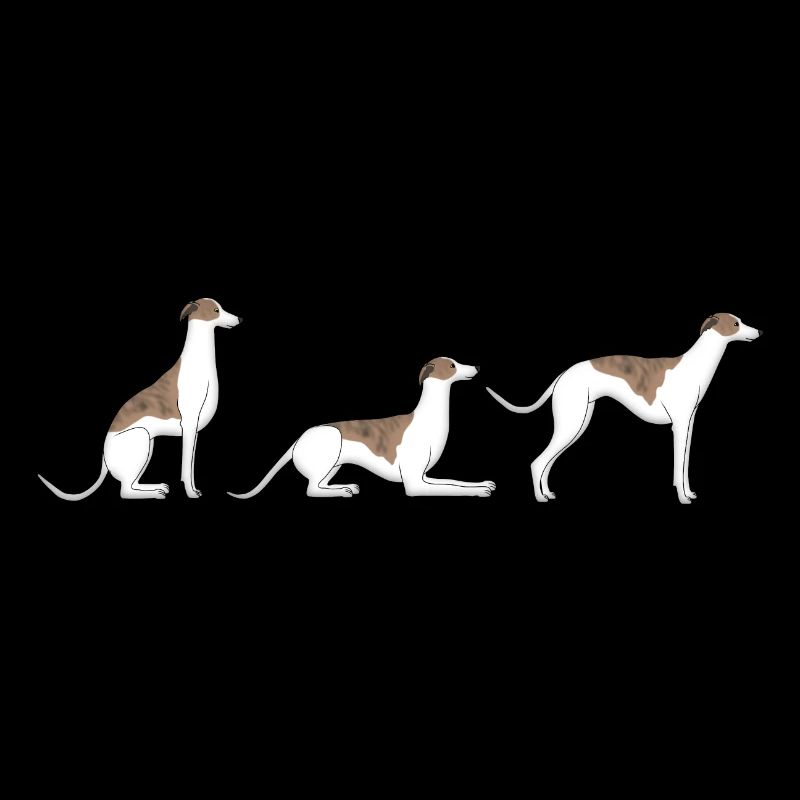 Sitz Platz Steh Whippet