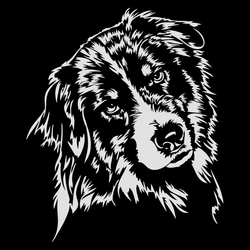 Australian Shepherd Wilsigns