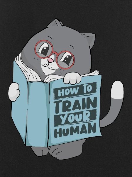 Funny Cat Read Book