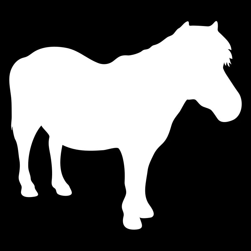 Pony Shetty