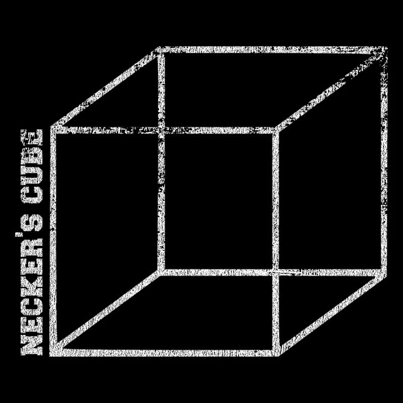 necker illusion