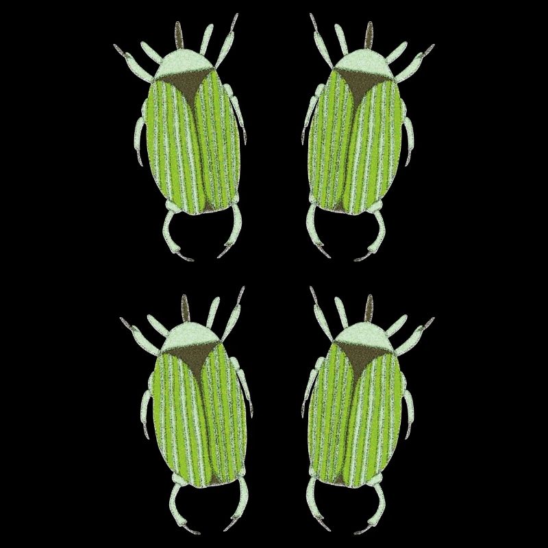 insecte vert