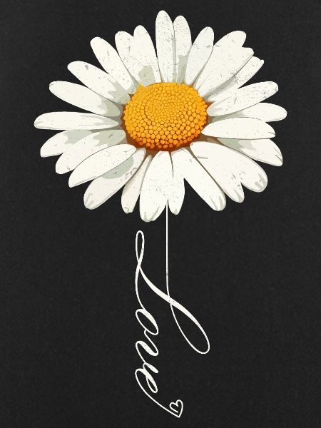 Gänseblümchenblume mit Liebe Skript