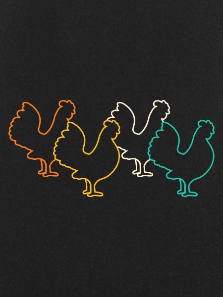 Chicken Rooster