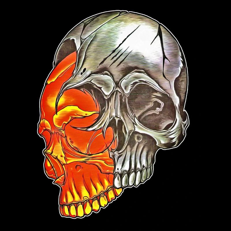 Skull