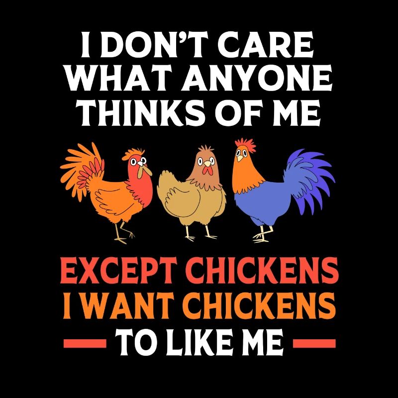 Poulet Volaille