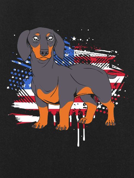 Dachshund