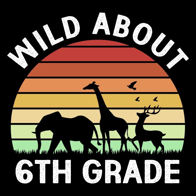 6th Grade