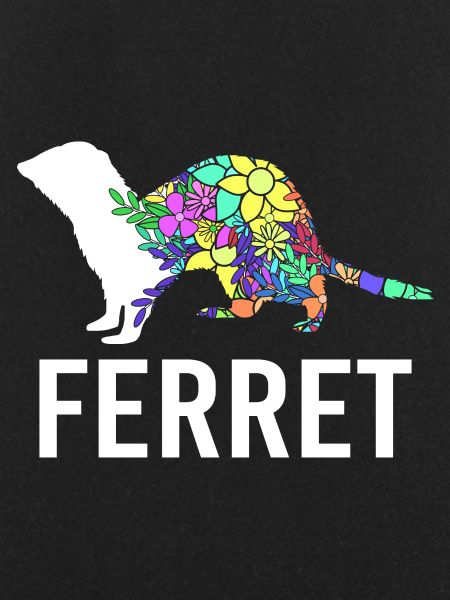 Ferret