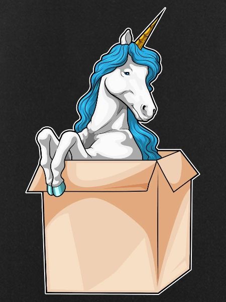 Einhorn Karton