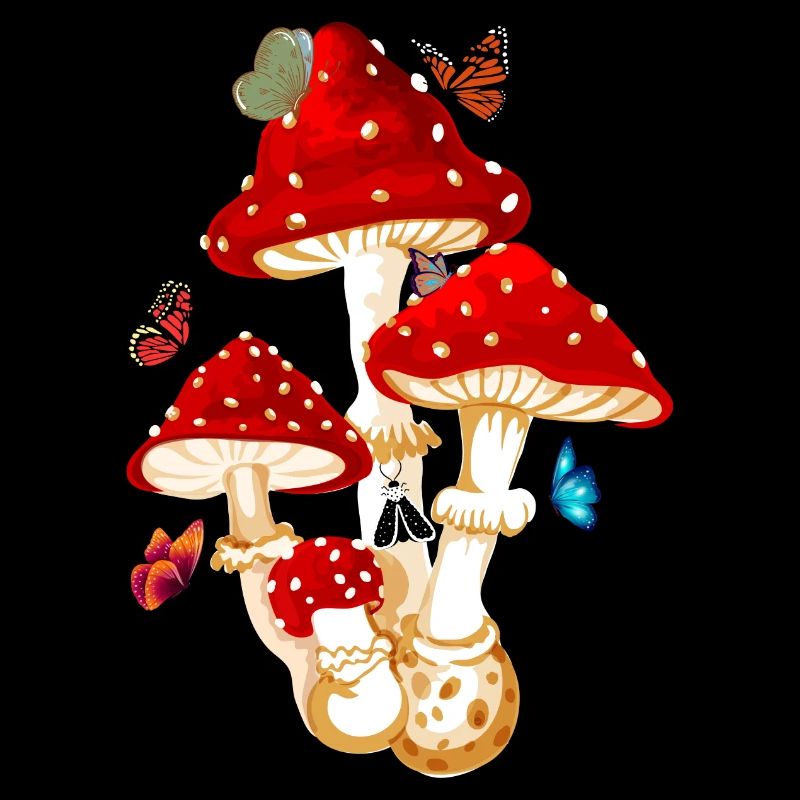 champignon papillon