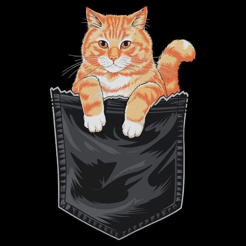 Tabby Orange Cat Cat Lover