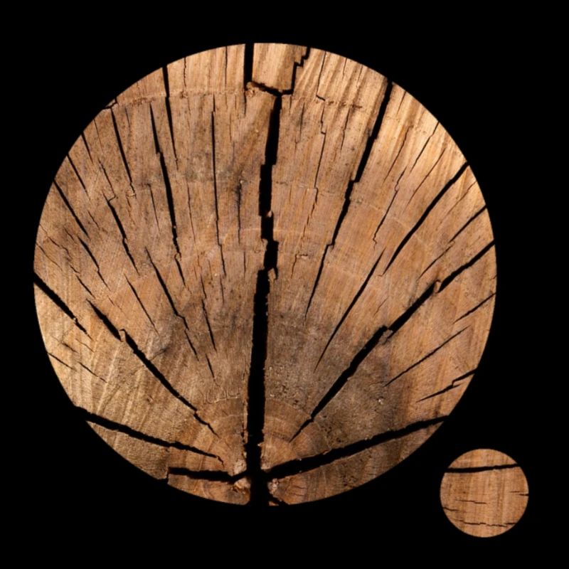 Cercles de bois