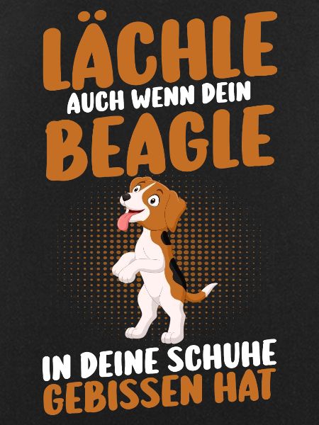 Dog Beagle