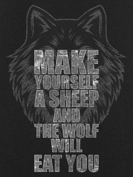 Wolves Dog Grey Wolf